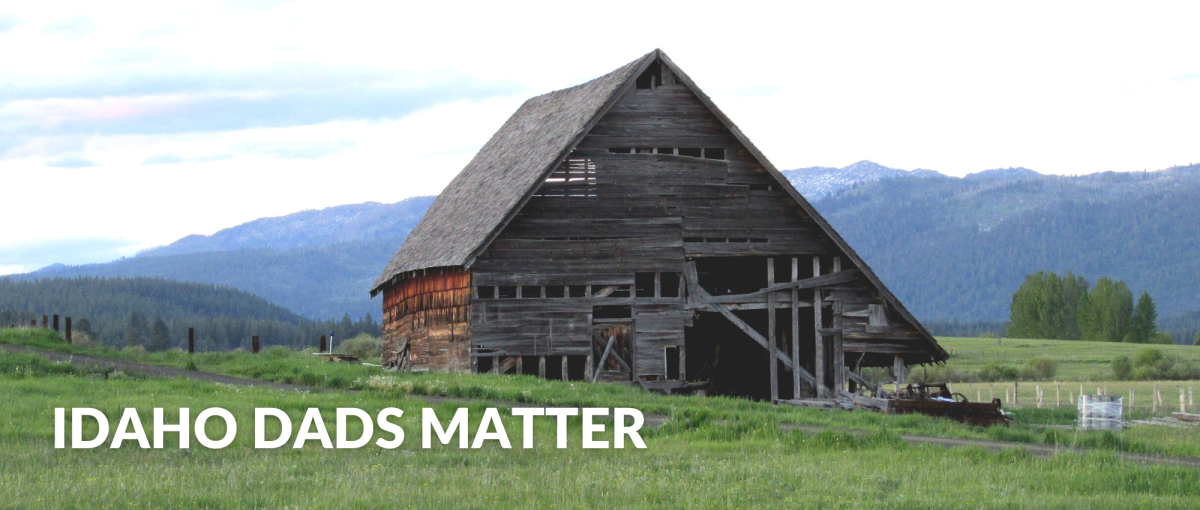 Barn in field